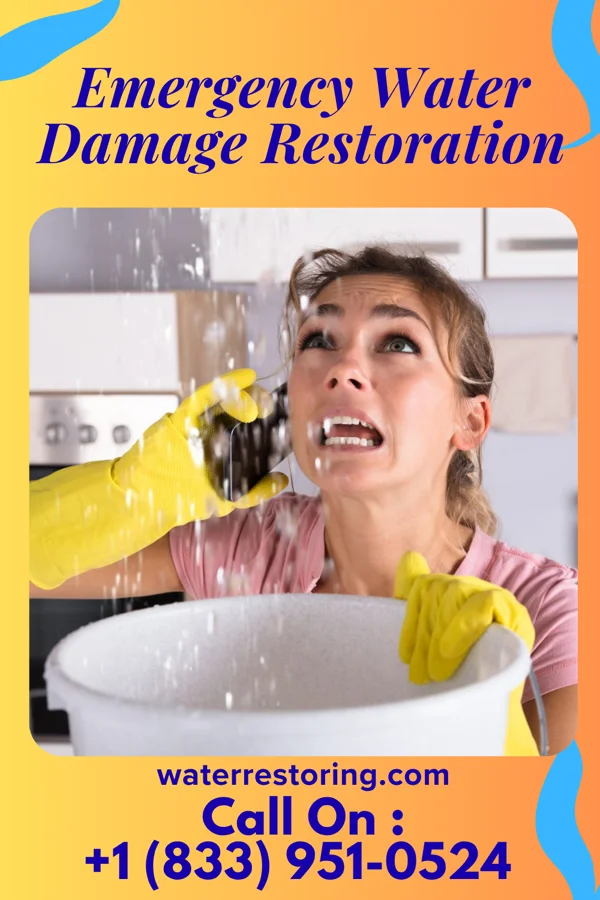 Emergency Water Damage Restoration in Collins, AR