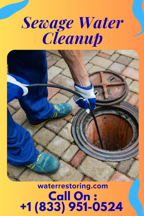 Sewage Water Cleanup in Collins, AR